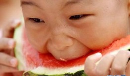 吃瓜的表情包 今日吃瓜每日大赛,每日大赛，笑料横生，瓜界风云再起！